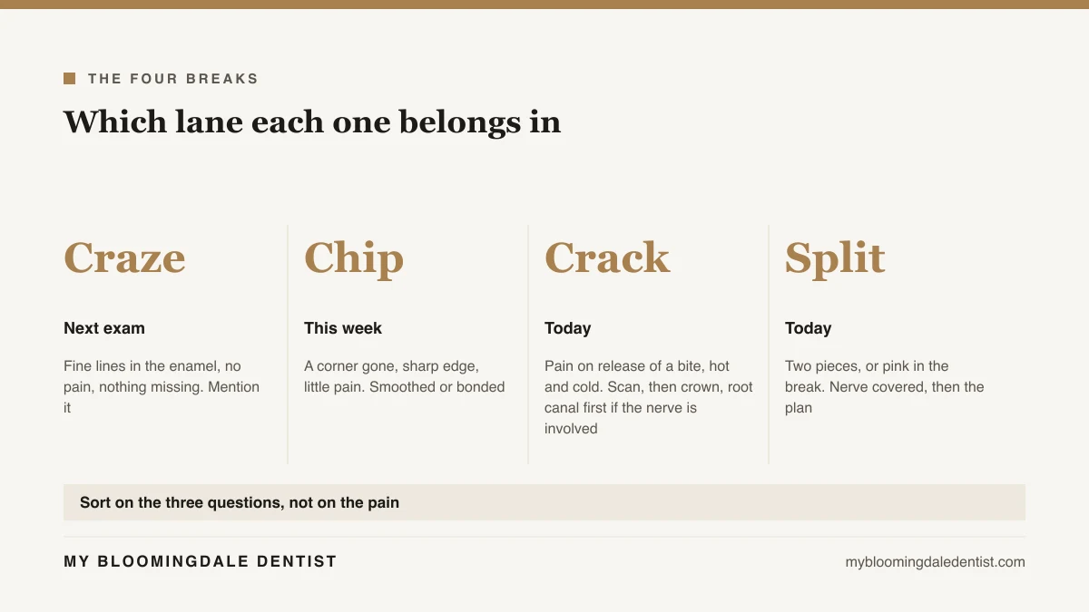 Ladder of four tooth breaks from a craze line to a split tooth, with which lane each one belongs in and what the office does for it