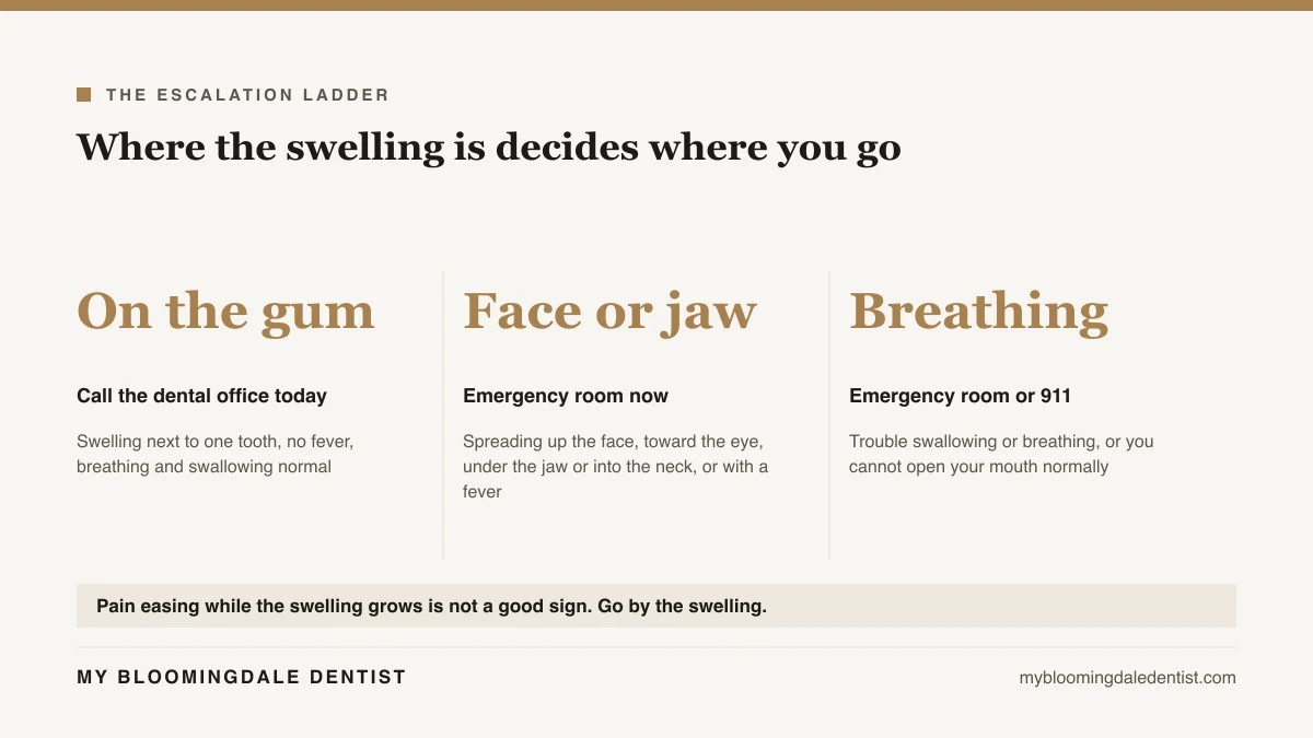 Three step ladder showing swelling on the gum, swelling spreading in the face or jaw, and trouble breathing or swallowing, with where to go for each