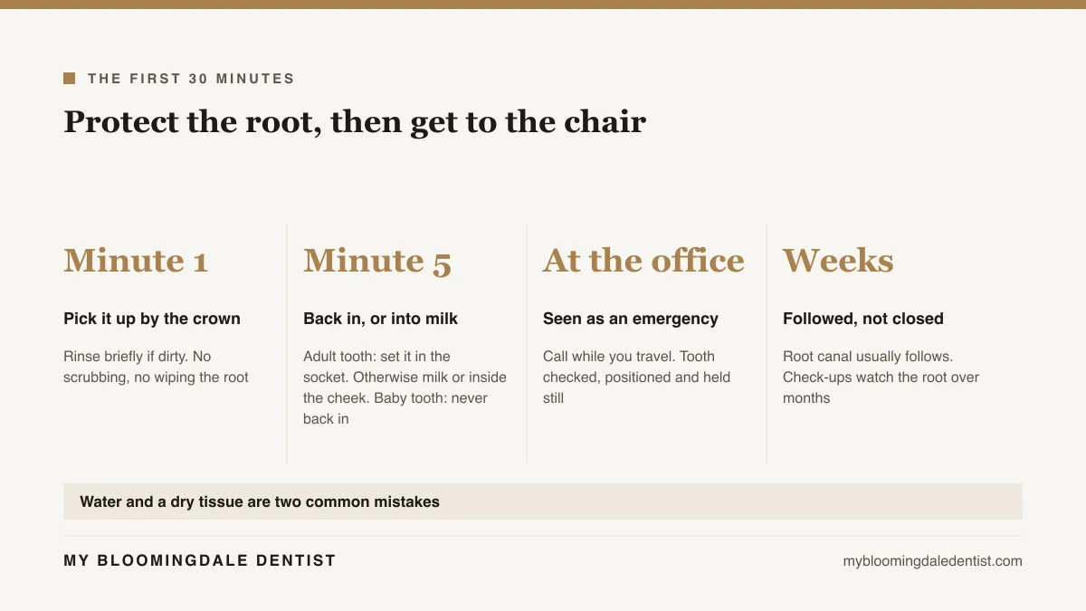 Four step timeline for a knocked out adult tooth, from picking it up by the crown to being seen as an emergency at the office and the follow-up appointments after replanting