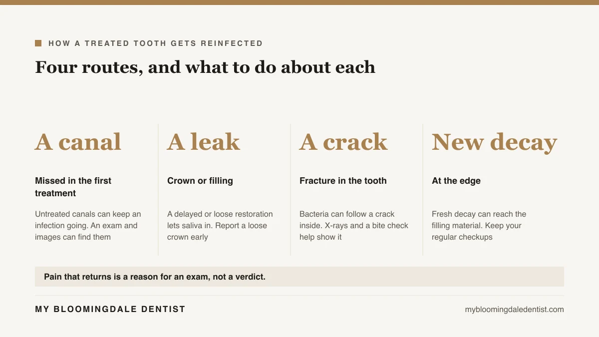 Four ways a root-canaled tooth can be reinfected: a missed canal, a leaking seal, a crack and new decay at the edge